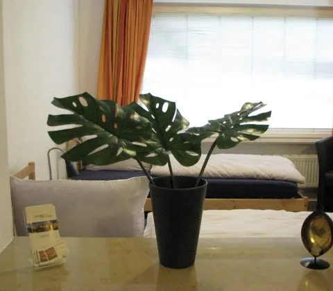 Ferienwohnung Melchior
