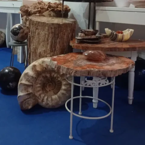naturhistorische-objekte
